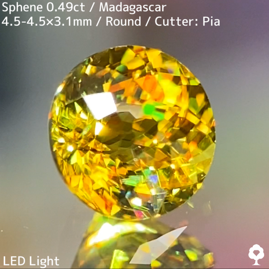 Sphene 0.49ct / Madagascar