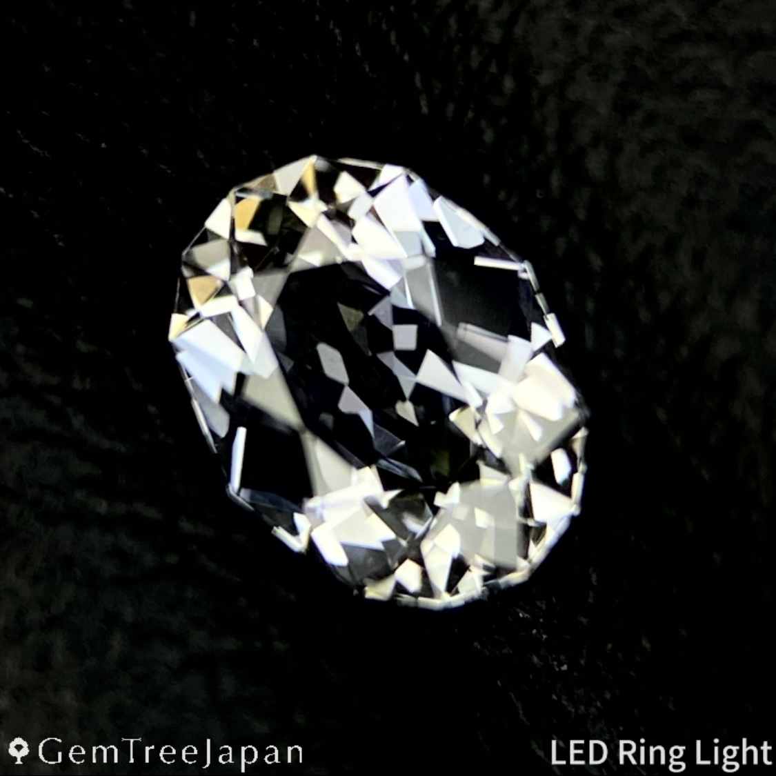 【Nori's Gem】Near Colorless Zoisite 0.560ct / Tanzania