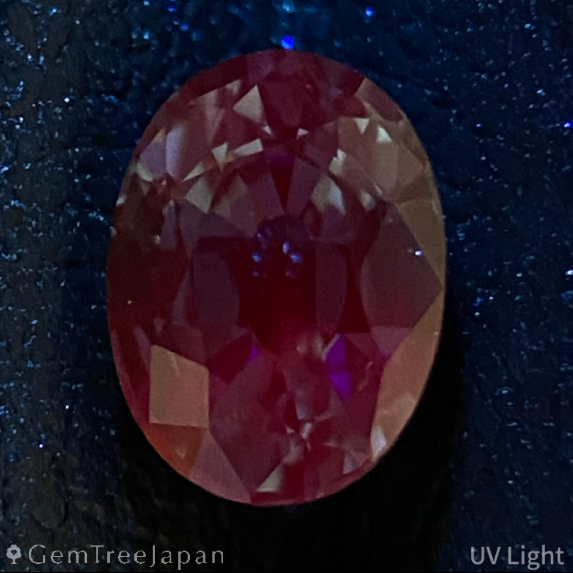 Unheated Sapphire 1.200ct / Kanchanaburi