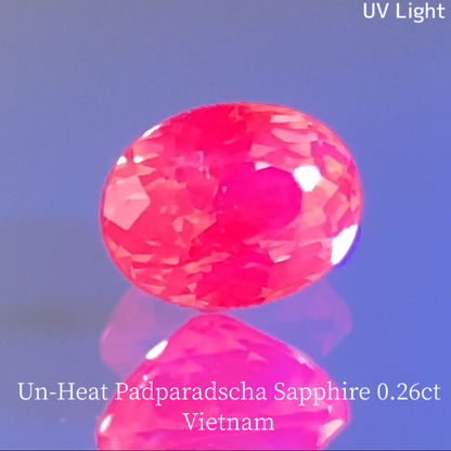 Un-Heat Padparadscha Sapphire 0.265ct / Vietnam