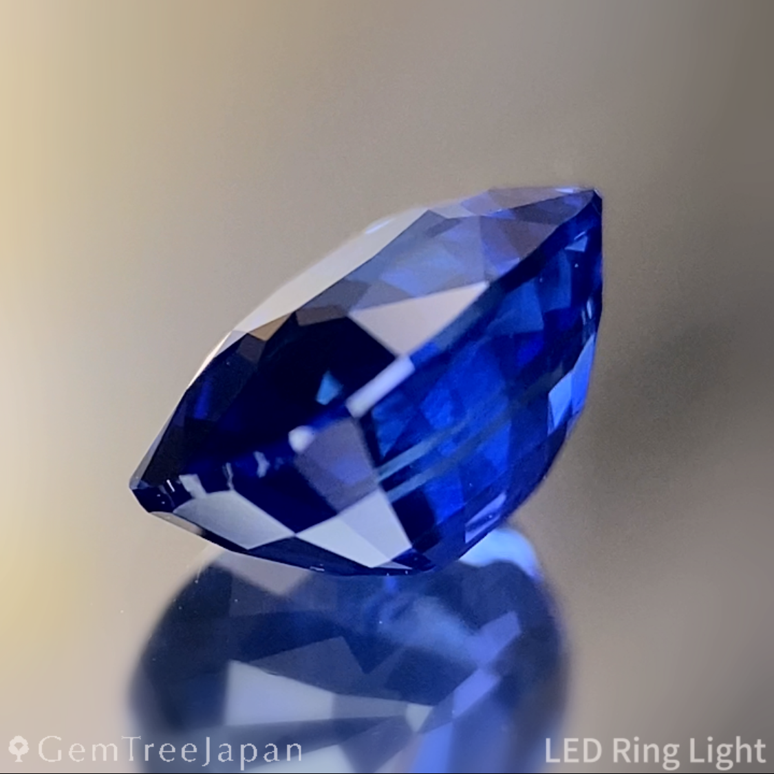 Cornflower Blue Sapphire 1.350ct / Burma
