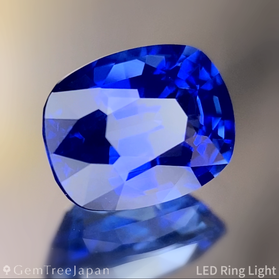 Cornflower Blue Sapphire 1.350ct / Burma