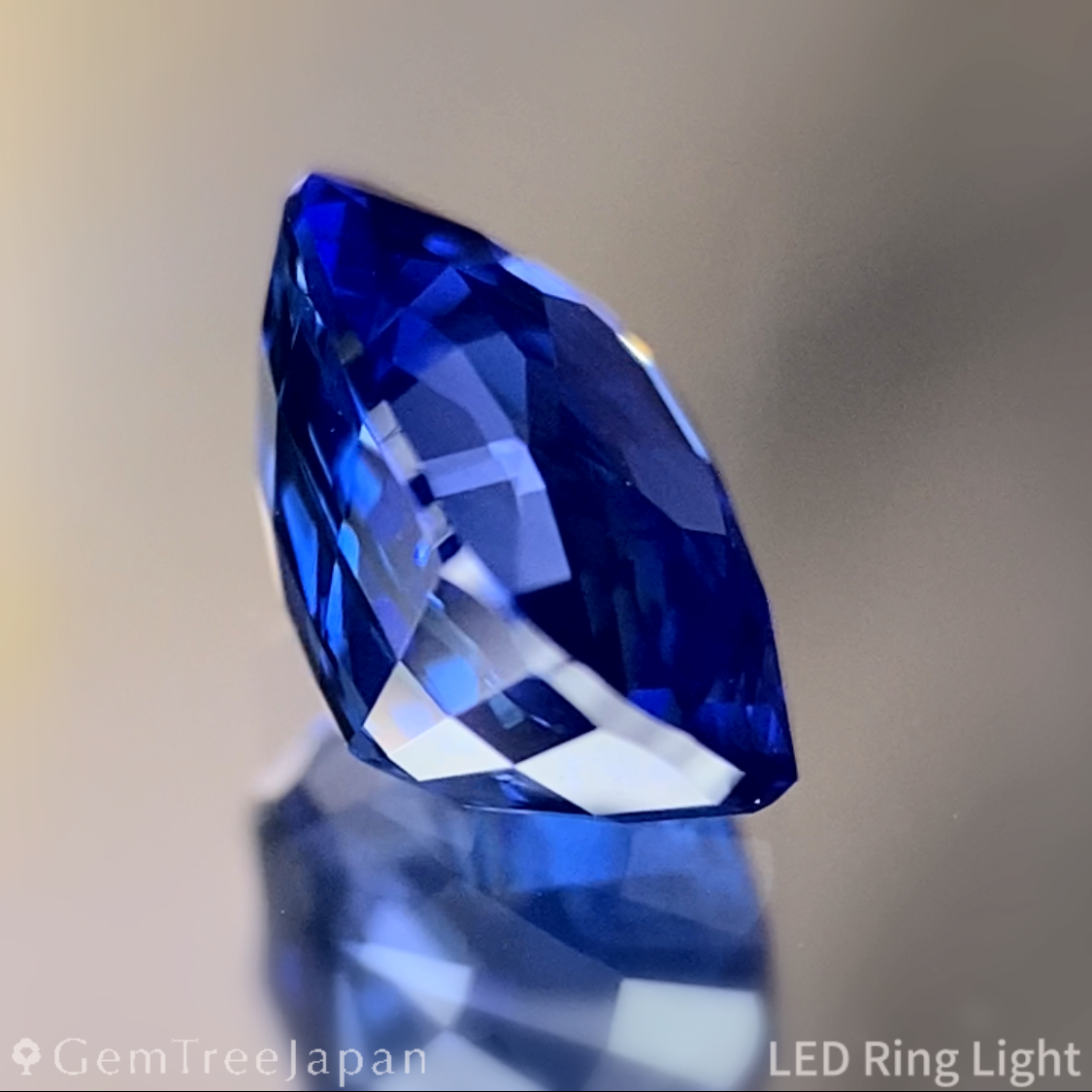 Cornflower Blue Sapphire 1.350ct / Burma