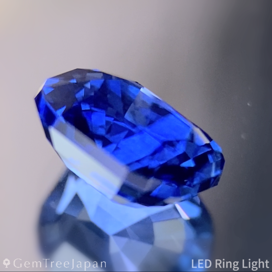Cornflower Blue Sapphire 1.641ct / Burma