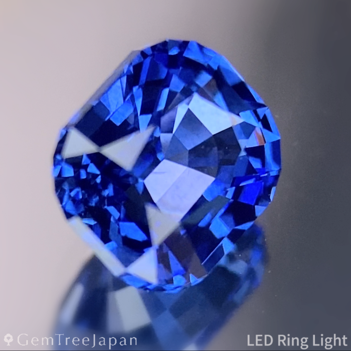 Cornflower Blue Sapphire 1.641ct / Burma