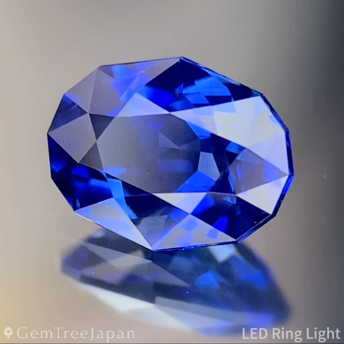 Cornflower Blue Sapphire 1.232ct / Burma