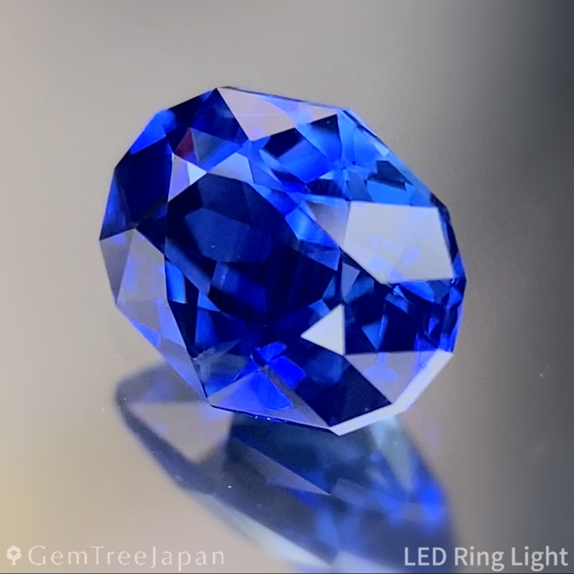 Cornflower Blue Sapphire 1.232ct / Burma