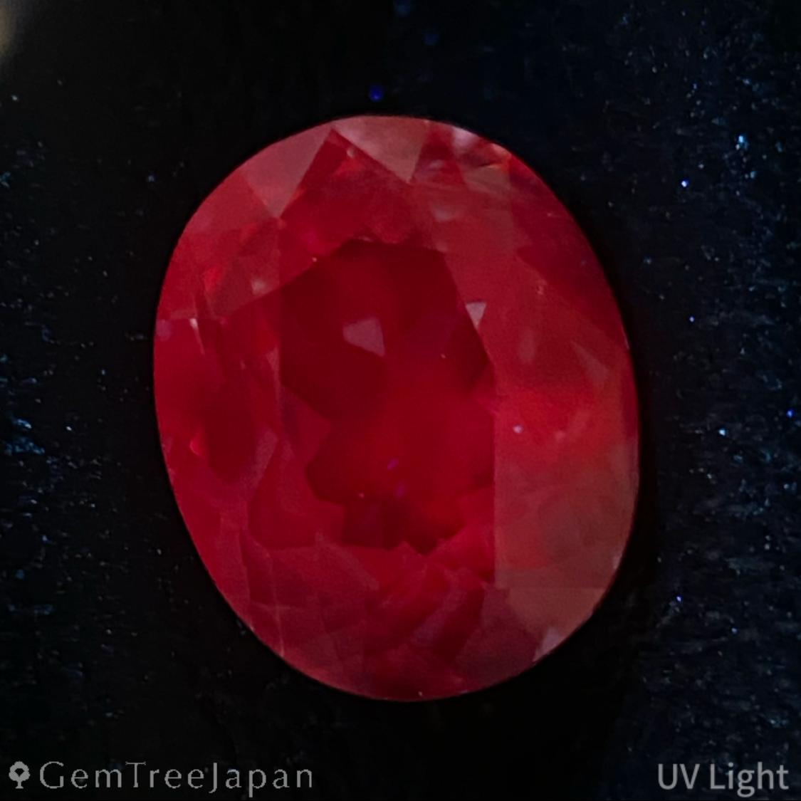 【from Rough】Purplish Blue Sapphire 1.069ct / Thailand