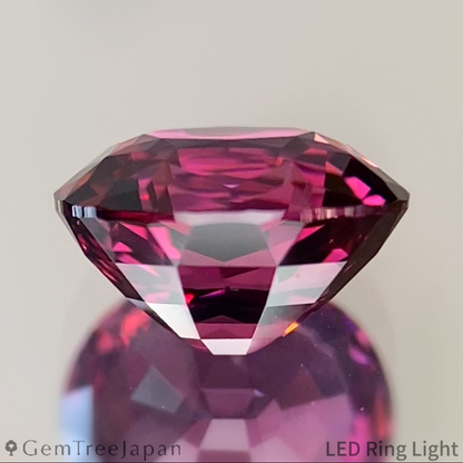 【SP Trial Price】"Table Cube Cut 2" Rhodolite Garnet 2.252ct / Tanzania
