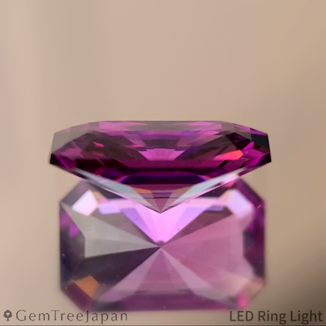 Rhodolite Garnet 1.321ct / Tanzania