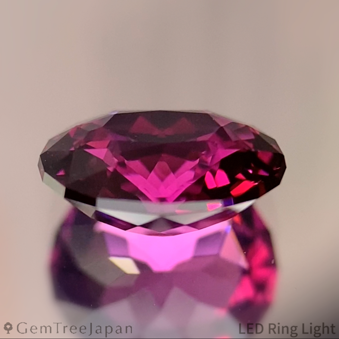 Rhodolite Garnet 1.714ct / Tanzania