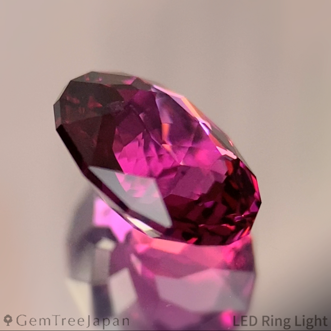 Rhodolite Garnet 1.714ct / Tanzania