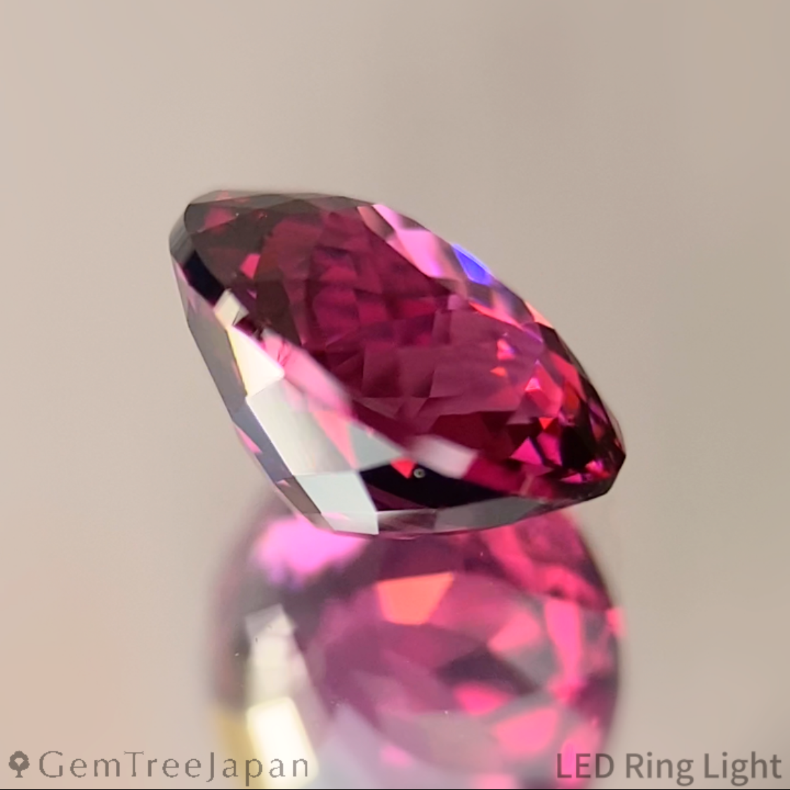 Rhodolite Garnet 1.288ct / Tanzania