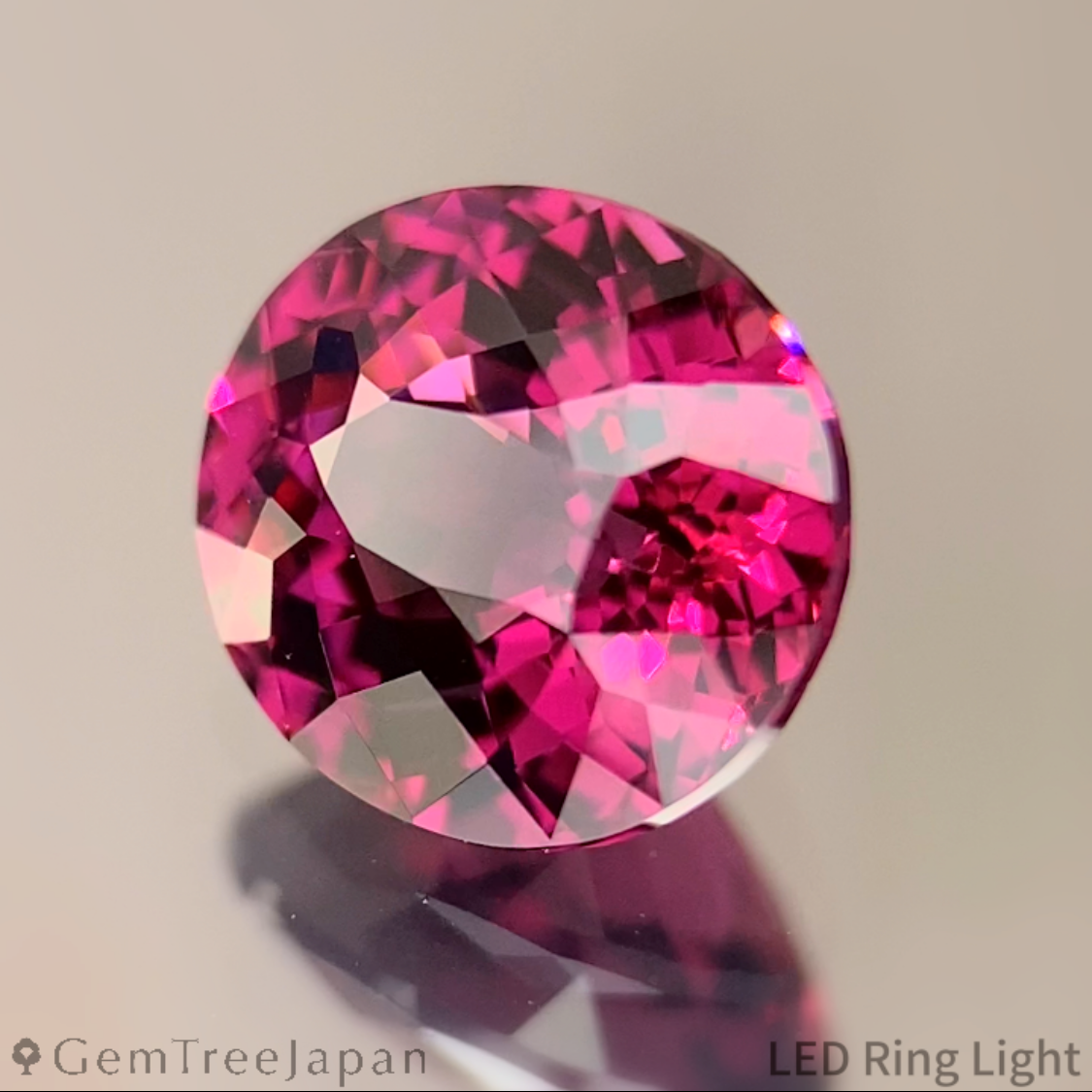 Rhodolite Garnet 1.288ct / Tanzania
