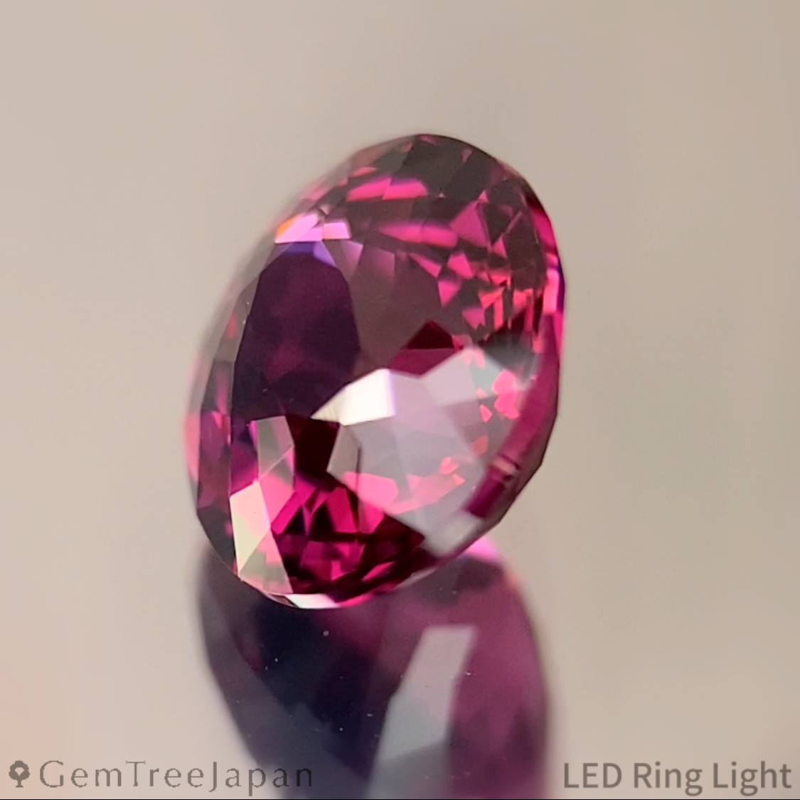Rhodolite Garnet 1.288ct / Tanzania
