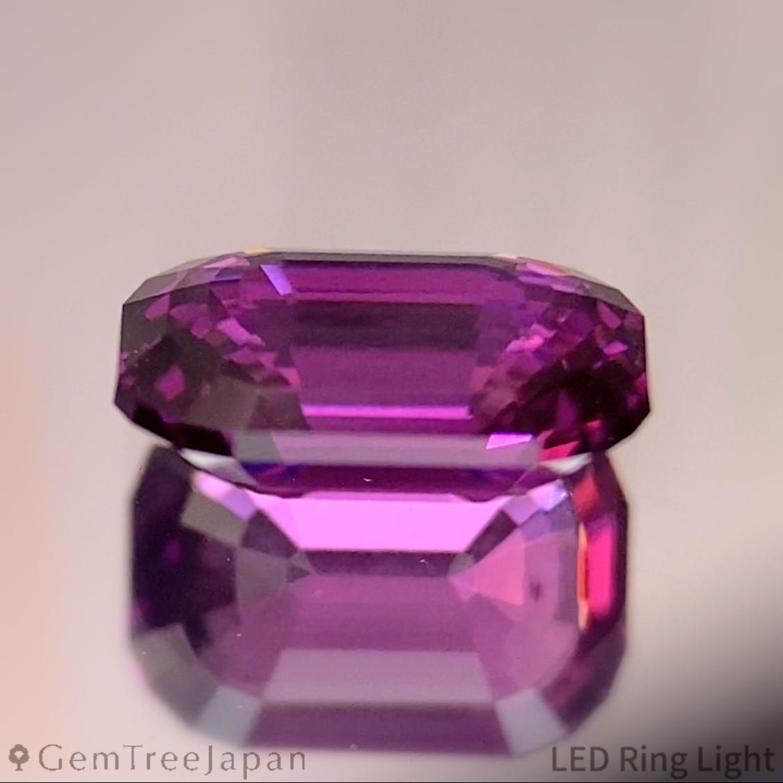 Rhodolite Garnet 1.493ct / Tanzania
