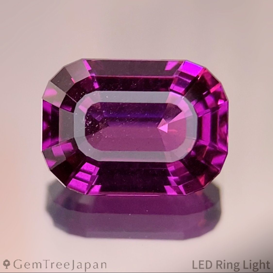 Rhodolite Garnet 1.493ct / Tanzania