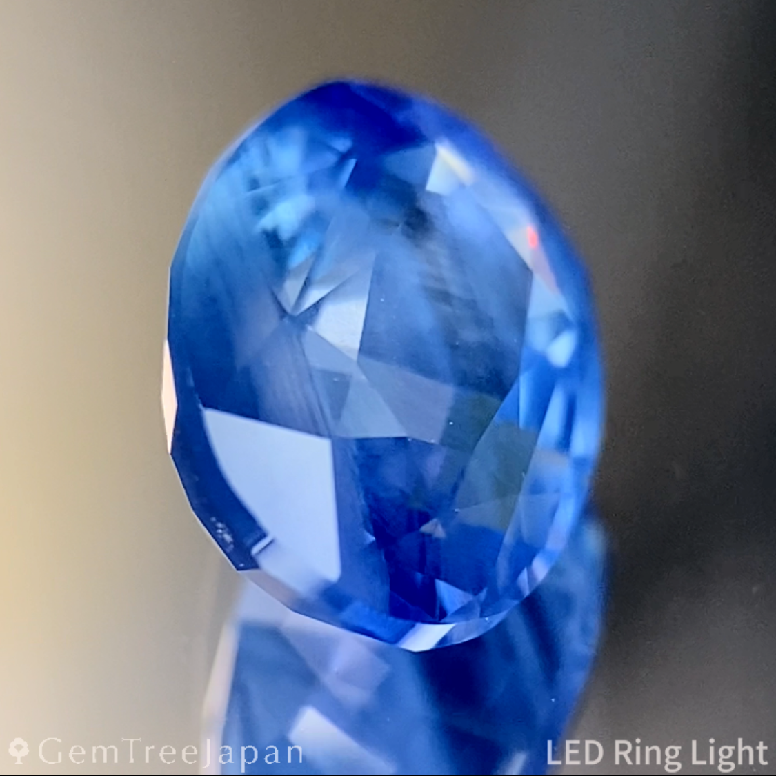 Un-Heat Sapphire 2.264ct / Burma