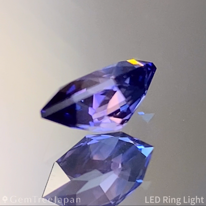 【One Price】Parti-Color Sapphire 0.317ct / Madagascar