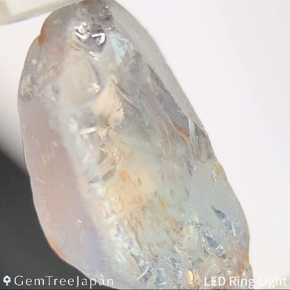 "Sleepy Rainbow" Un-Heat Parti-Color Sapphire 1.439ct / Kanchanaburi (Thailand)