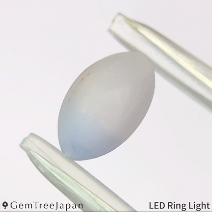 "Sleepy Rainbow" Un-Heat Parti-Color Sapphire 1.439ct / Kanchanaburi (Thailand)