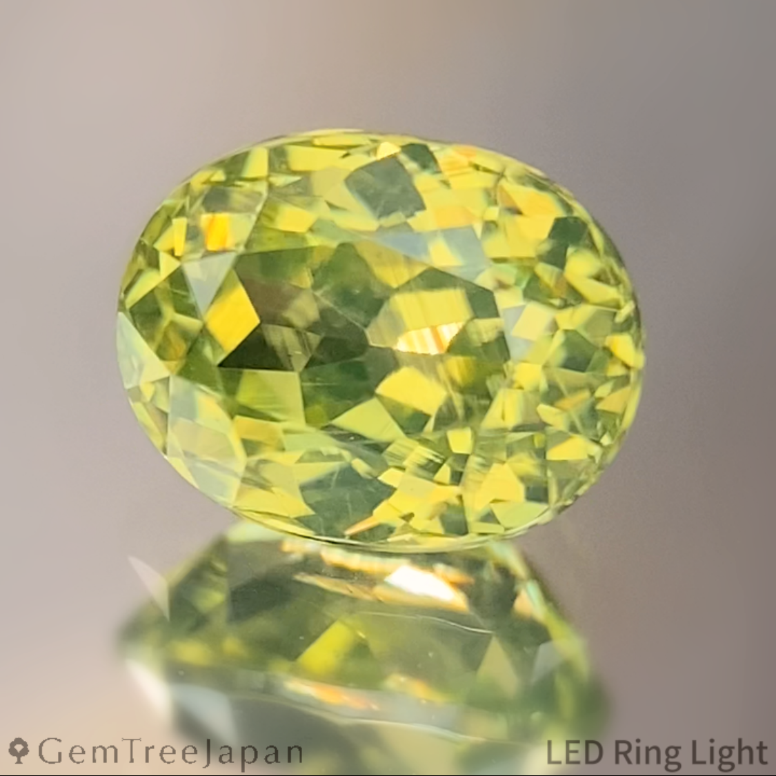 Greenish Yellow Zircon 1.283ct / Sri Lanka