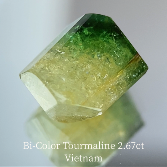 Bi-Color Tourmaline 2.67ct / Vietnam