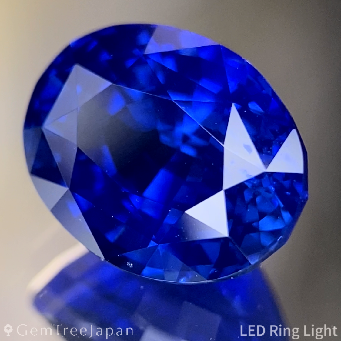 Cornflower Blue Sapphire 5.008ct / Burma