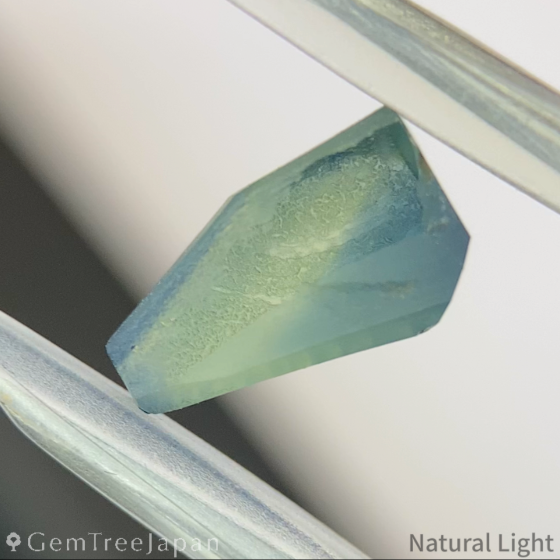 【lulu's Focus】Parti-Color Sapphire 1.034ct / Madagascar