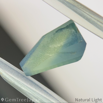 【lulu's Focus】Parti-Color Sapphire 1.034ct / Madagascar
