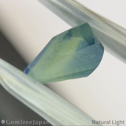 【lulu's Focus】Parti-Color Sapphire 1.034ct / Madagascar