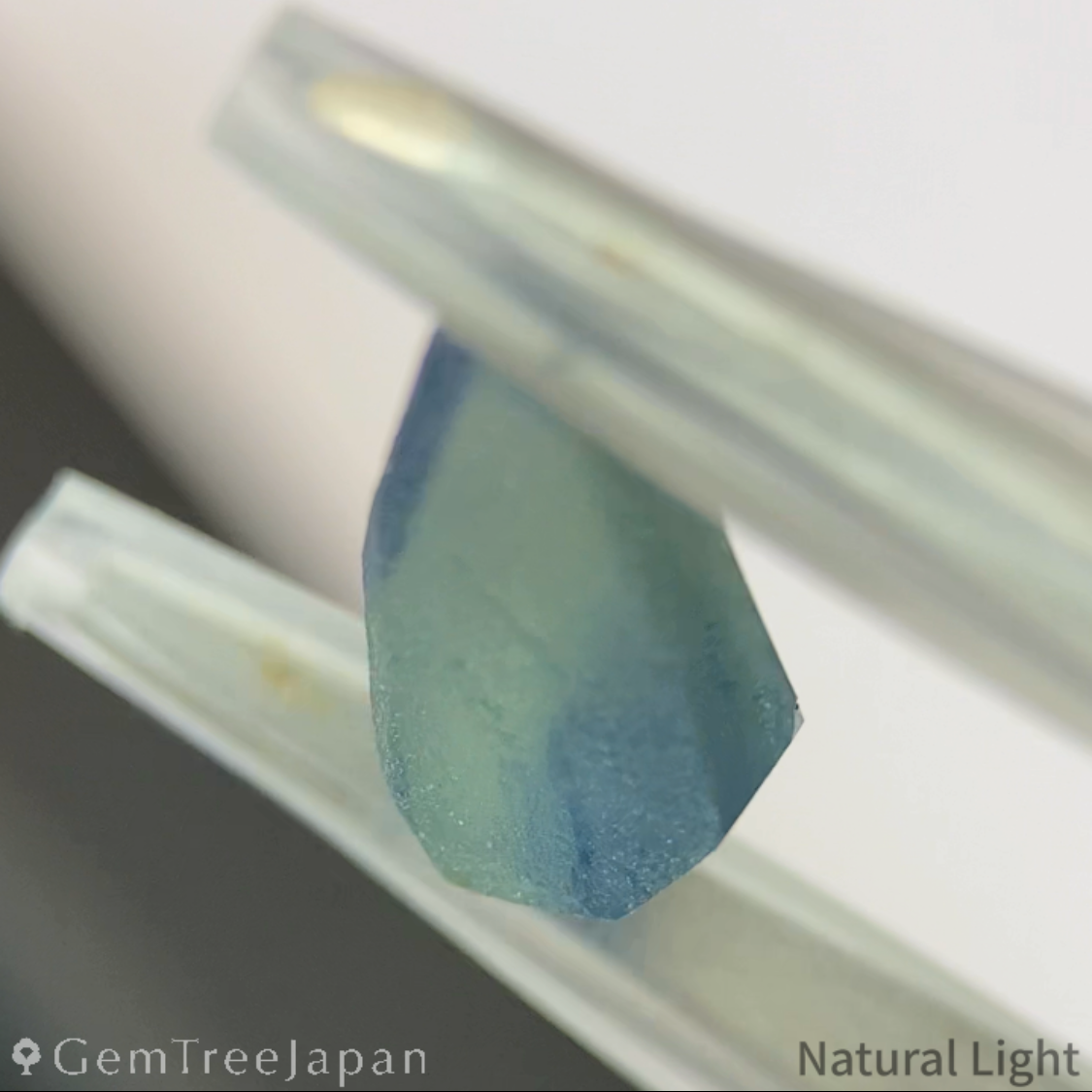 【lulu's Focus】Parti-Color Sapphire 1.034ct / Madagascar