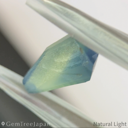 【lulu's Focus】Parti-Color Sapphire 1.034ct / Madagascar