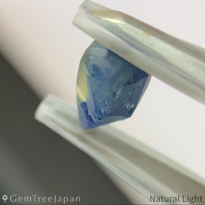 Parti-Color Sapphire 0.754ct / Madagascar