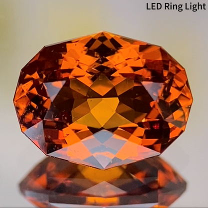 Grossular Garnet 1.751ct / Tanzania