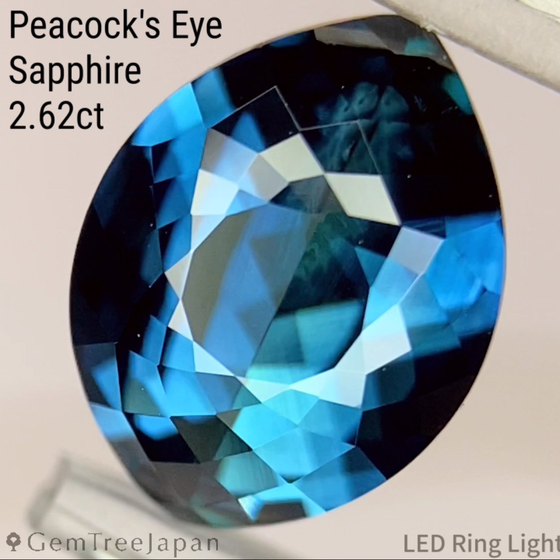 【One Price】"Peacock's Eye" Sapphire 2.62ct / Madagascar