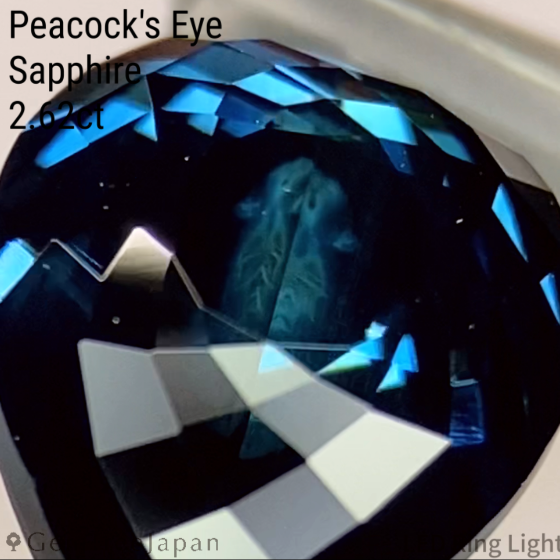 【One Price】"Peacock's Eye" Sapphire 2.62ct / Madagascar