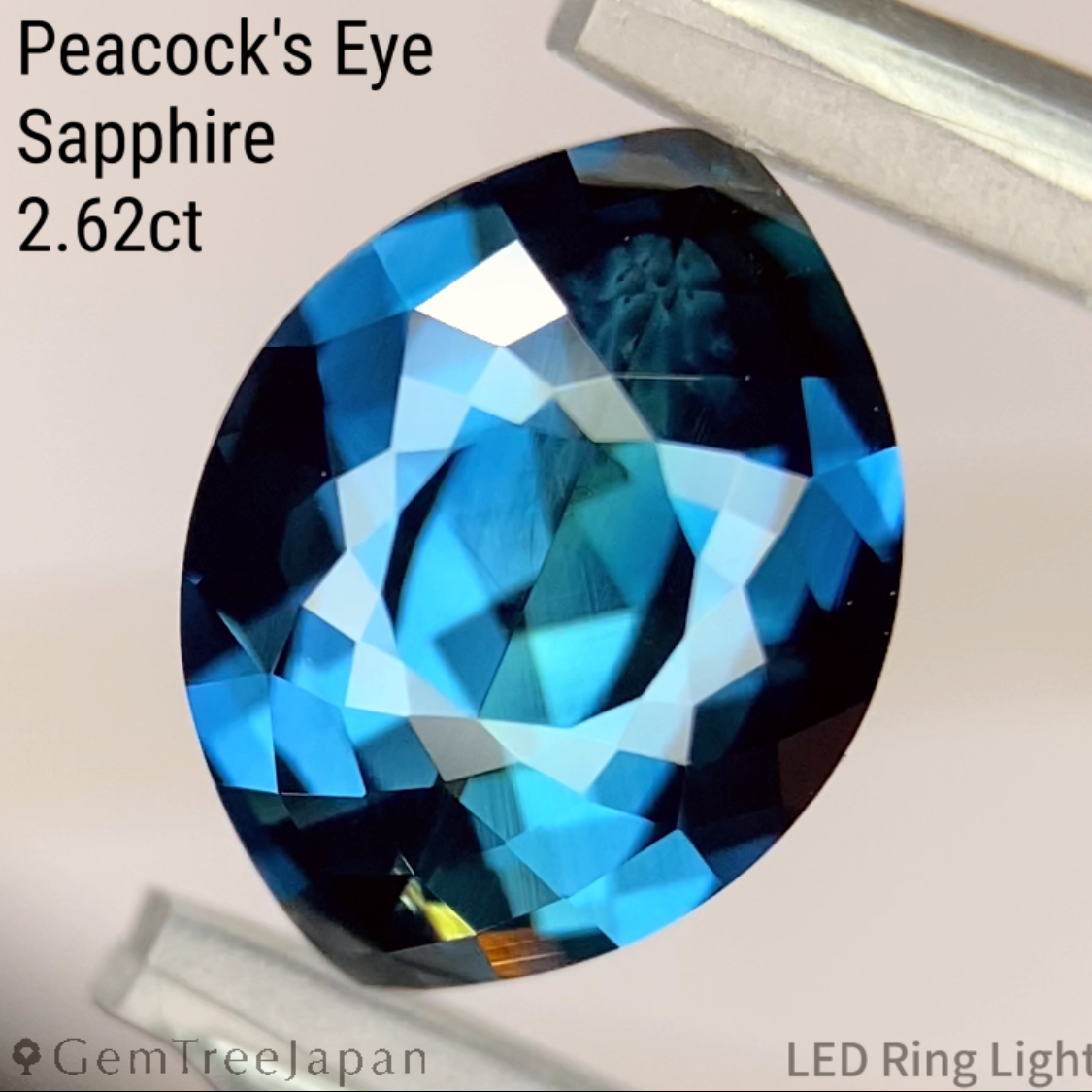 【One Price】"Peacock's Eye" Sapphire 2.62ct / Madagascar