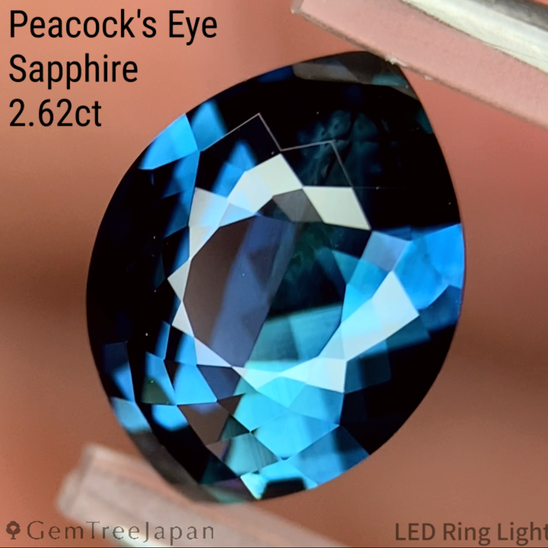 【One Price】"Peacock's Eye" Sapphire 2.62ct / Madagascar