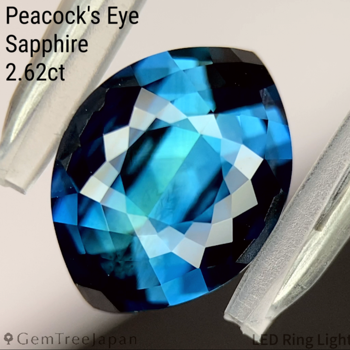 【One Price】"Peacock's Eye" Sapphire 2.62ct / Madagascar