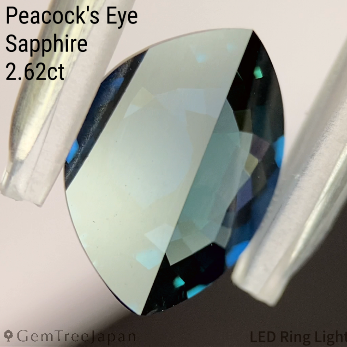 【One Price】"Peacock's Eye" Sapphire 2.62ct / Madagascar