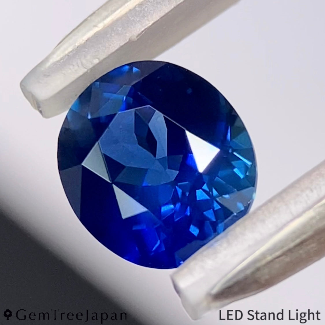 Kanchanaburi Sapphire 1.213ct / Thailand