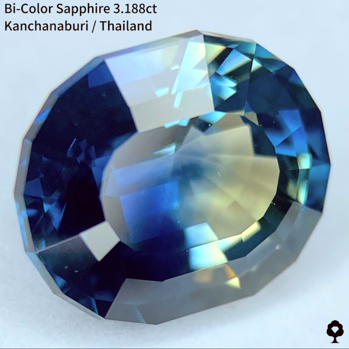 Bi-Color Sapphire 3.188ct / Kanchanaburi