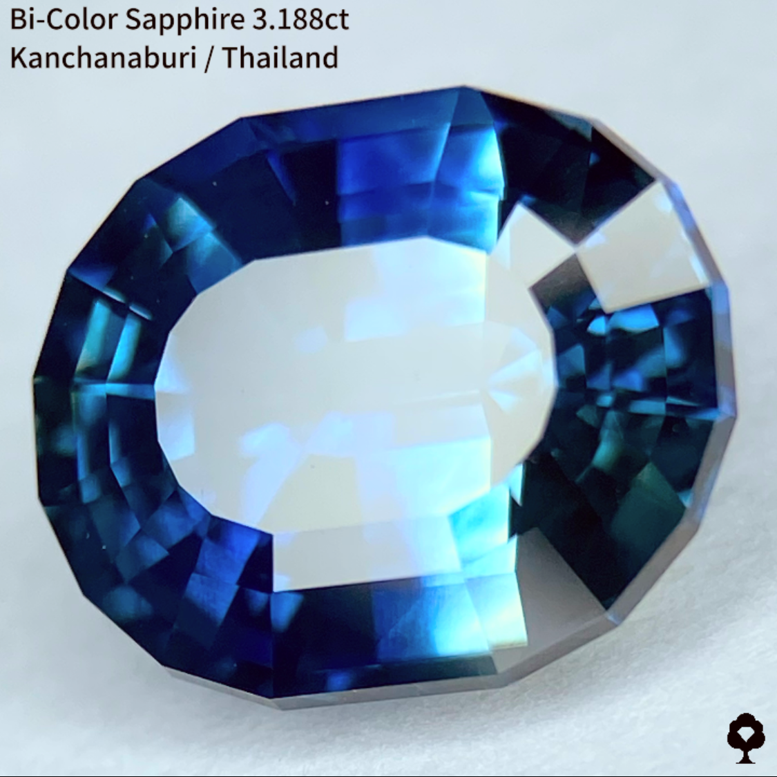 Bi-Color Sapphire 3.188ct / Kanchanaburi