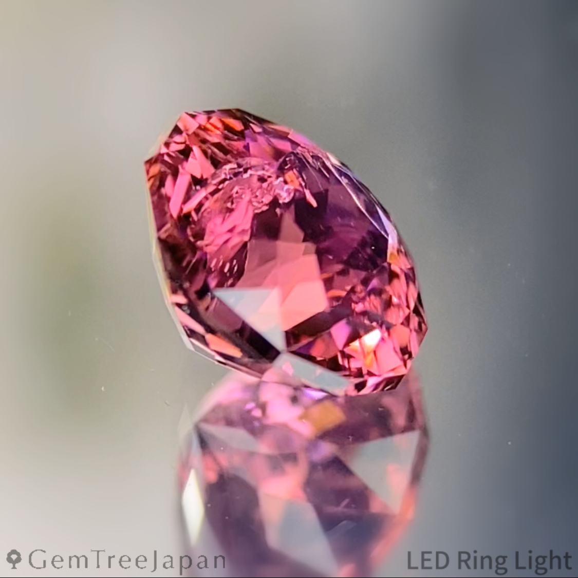 Tourmaline 1.040ct / Brazil