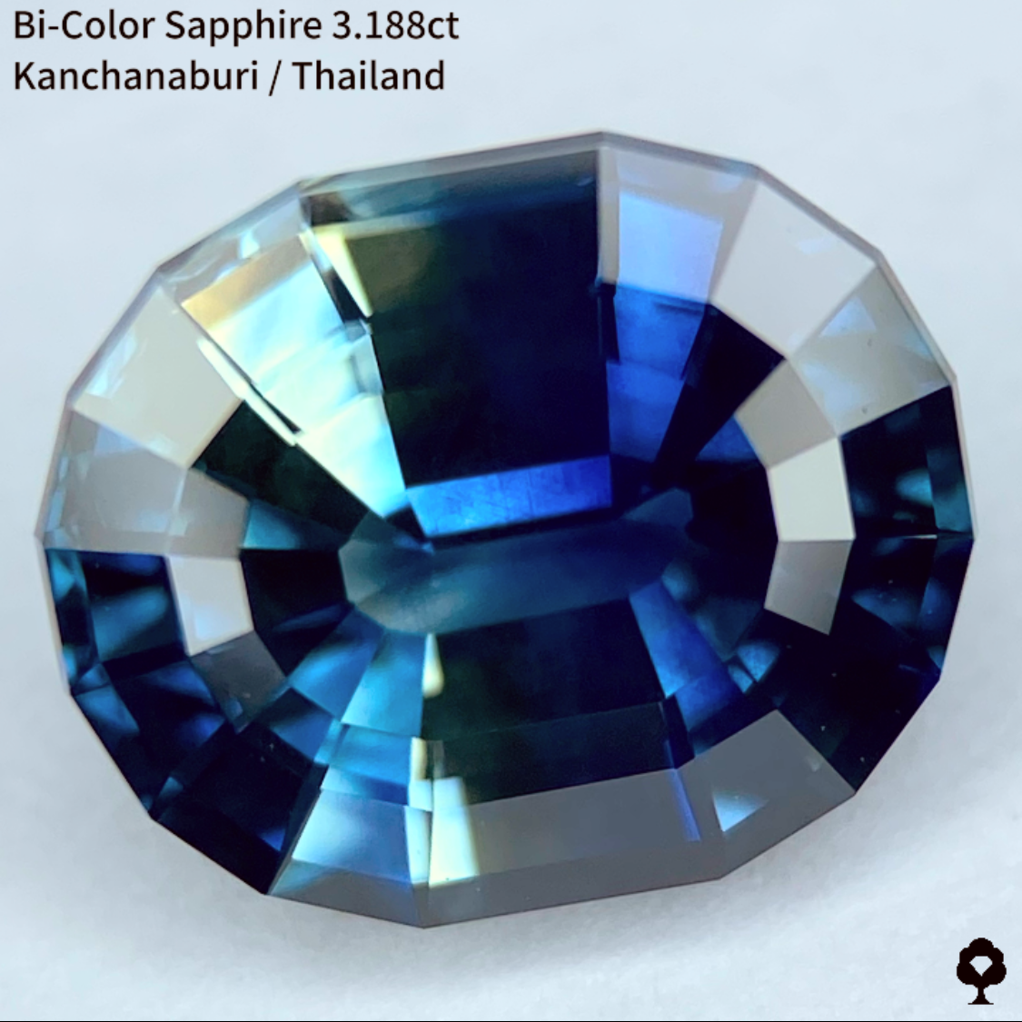 Bi-Color Sapphire 3.188ct / Kanchanaburi