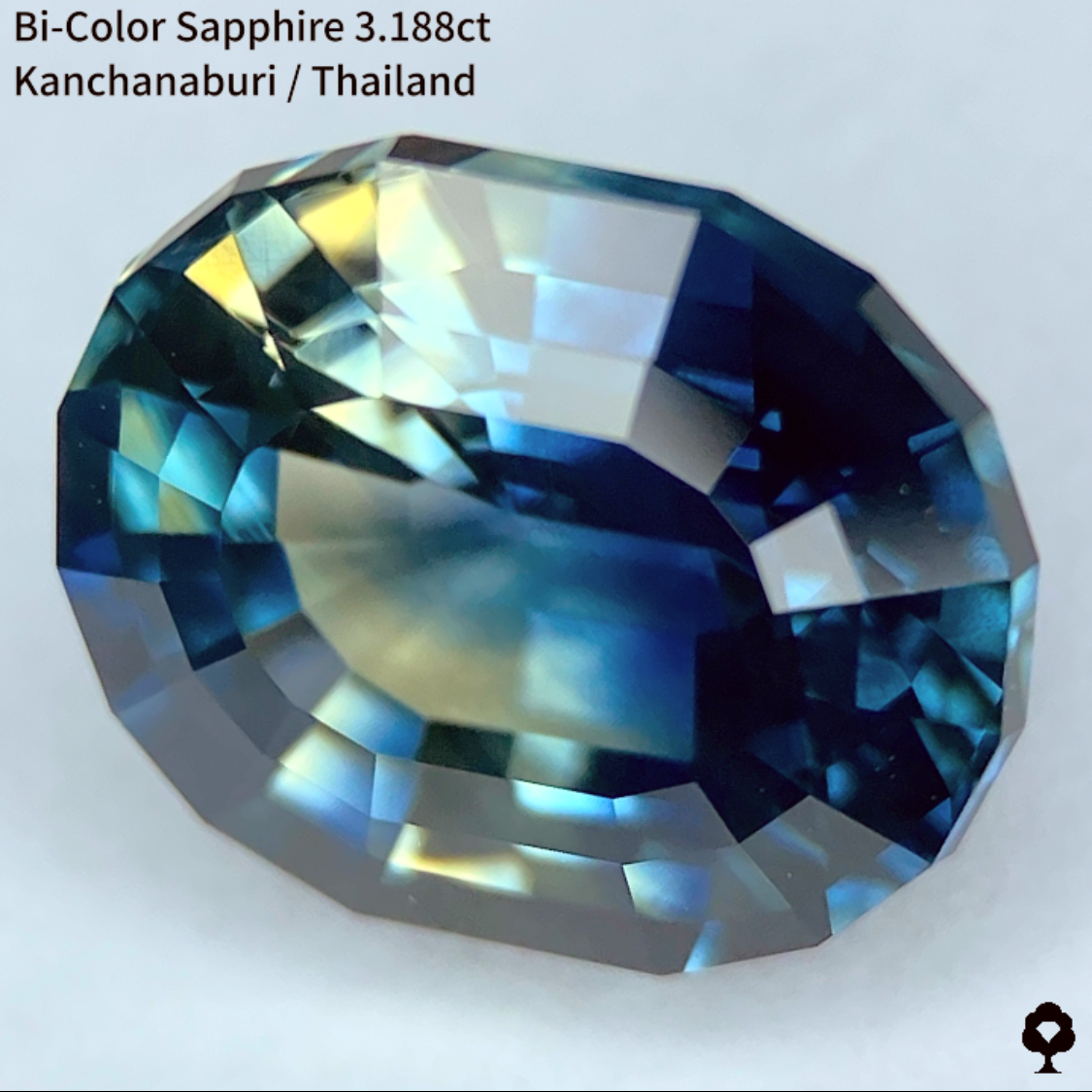 Bi-Color Sapphire 3.188ct / Kanchanaburi