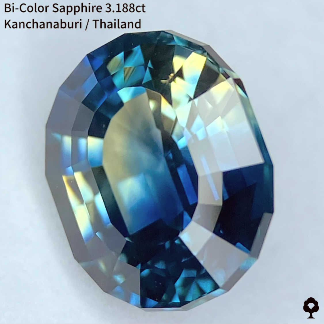 Bi-Color Sapphire 3.188ct / Kanchanaburi