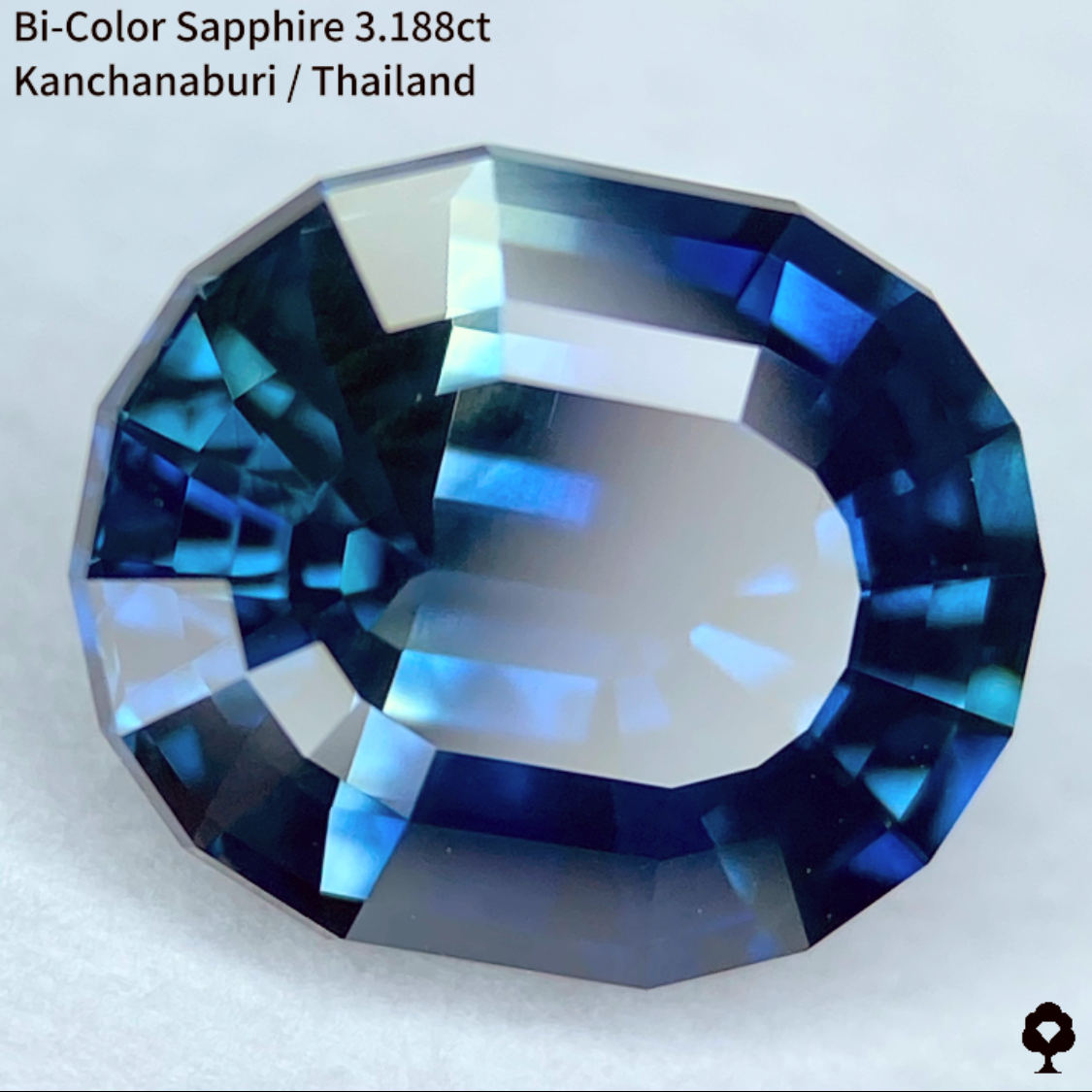 Bi-Color Sapphire 3.188ct / Kanchanaburi