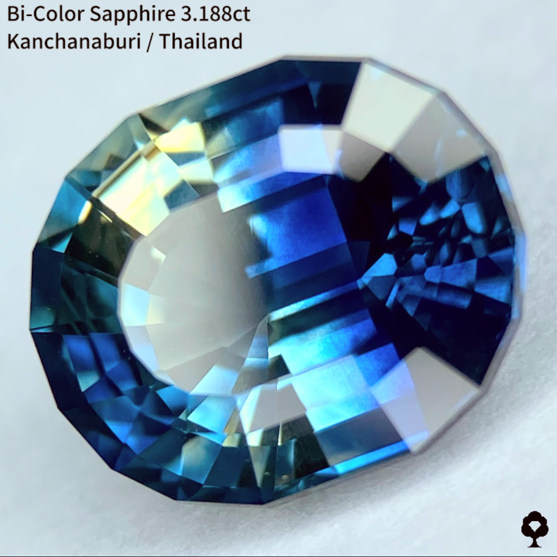 Bi-Color Sapphire 3.188ct / Kanchanaburi